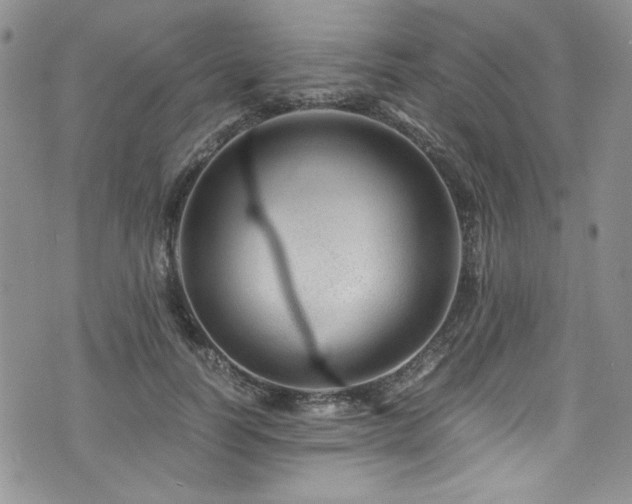 X0000076270746200609281205