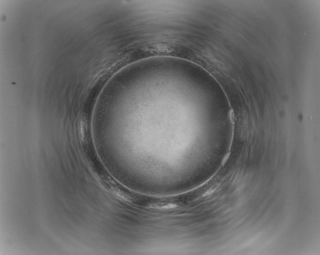 X0000076270747200609281205