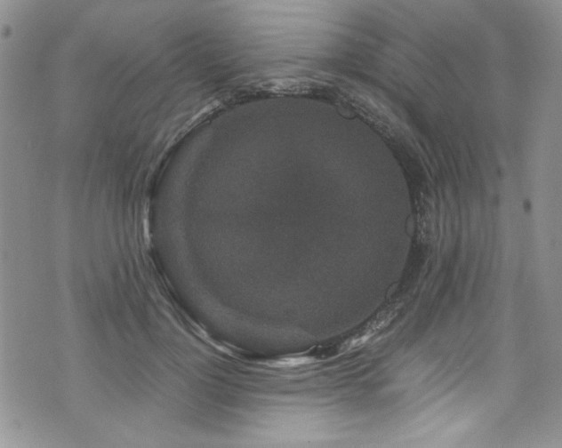 X0000076270748200609281205