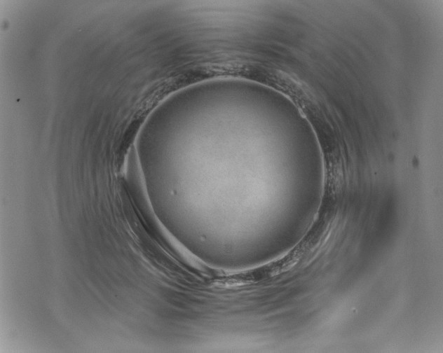 X0000076270749200609281205