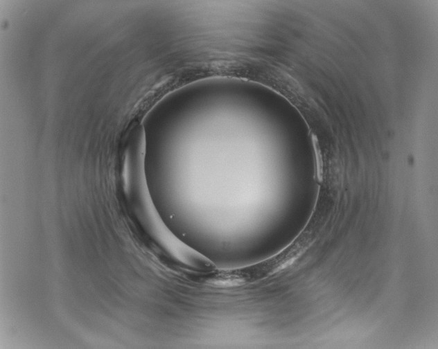 X0000076270750200609281205