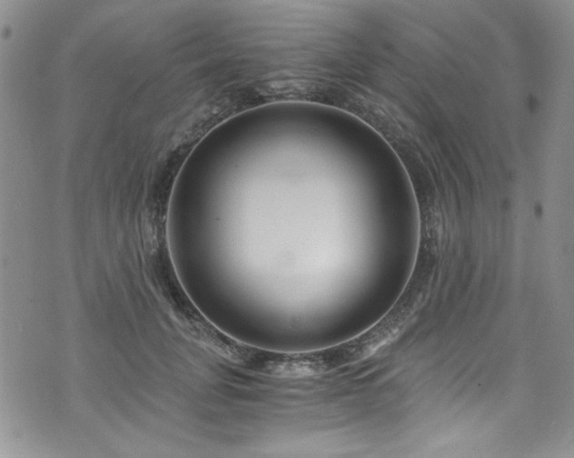 X0000076270751200609281205