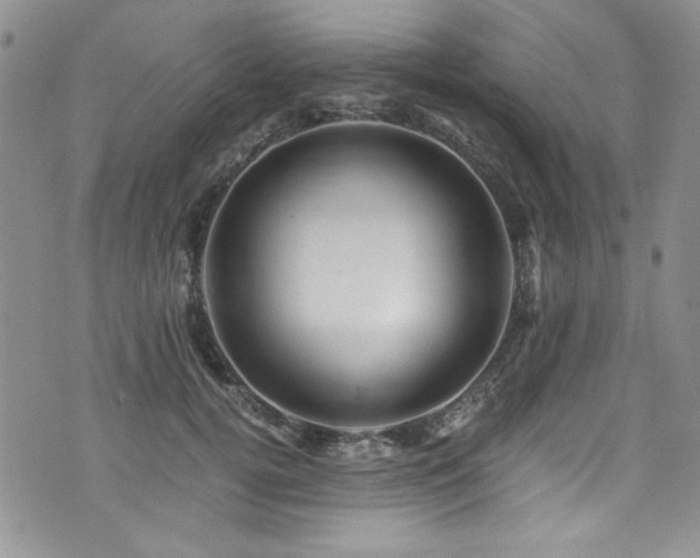 X0000076270752200609281205