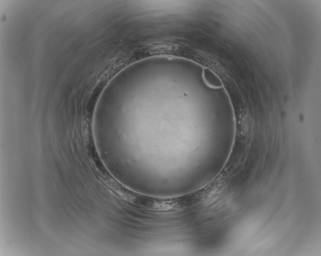 X0000076270753200609281205