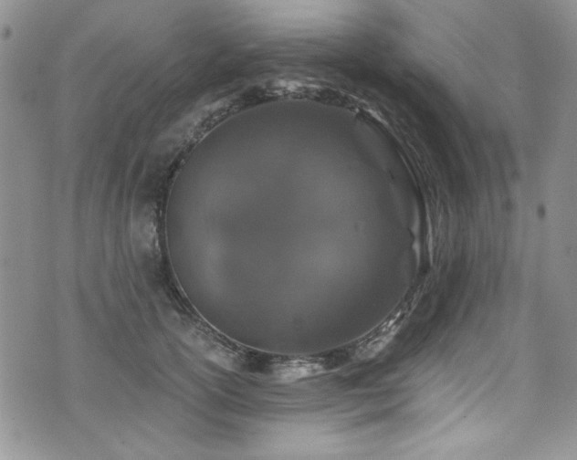 X0000076270754200609281205