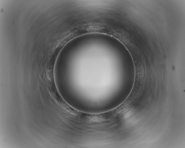 X0000076270755200609281205