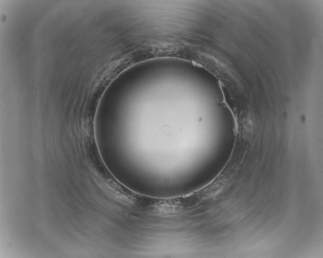 X0000076270756200609281205