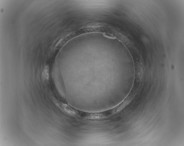 X0000076270758200609281205