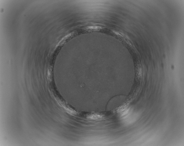 X0000076270759200609281205