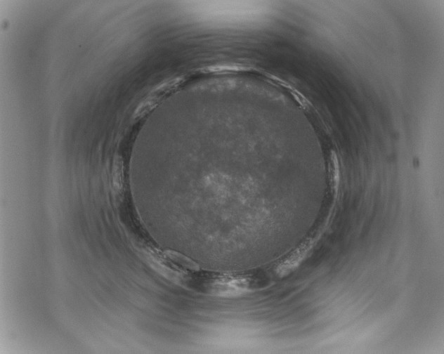 X0000076270760200609281205