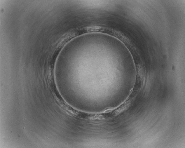 X0000076270761200609281205