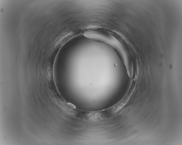 X0000076270762200609281205