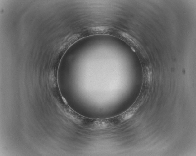 X0000076270764200609281205