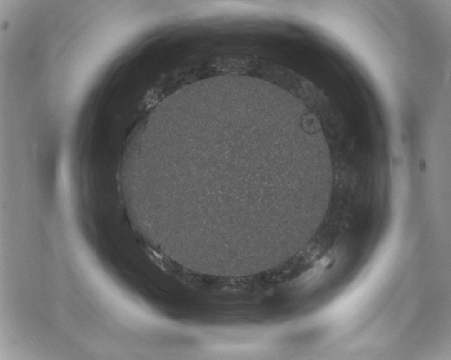 X0000076270765200609281205