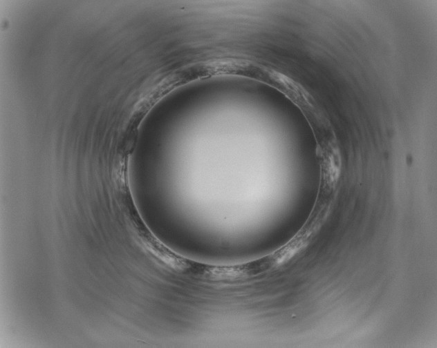 X0000076270766200609281205