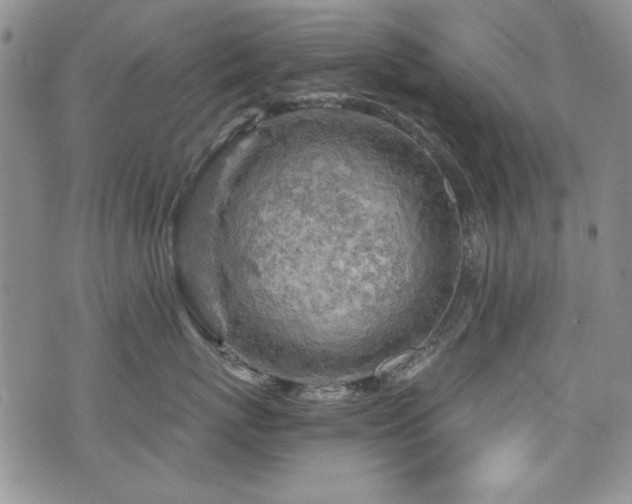 X0000076270767200609281205