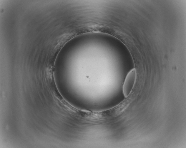 X0000076270768200609281205