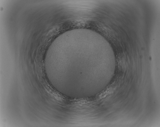 X0000076270769200609281204