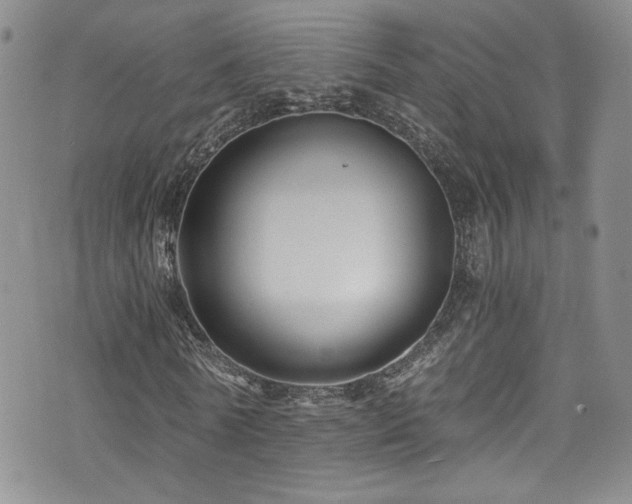 X0000076270770200609281204