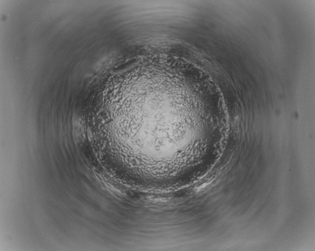 X0000076270772200609281204