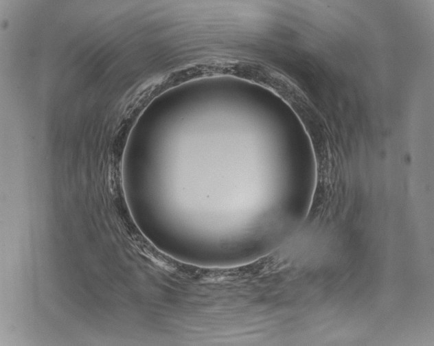 X0000076270773200609281204