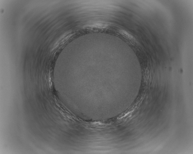 X0000076270774200609281204