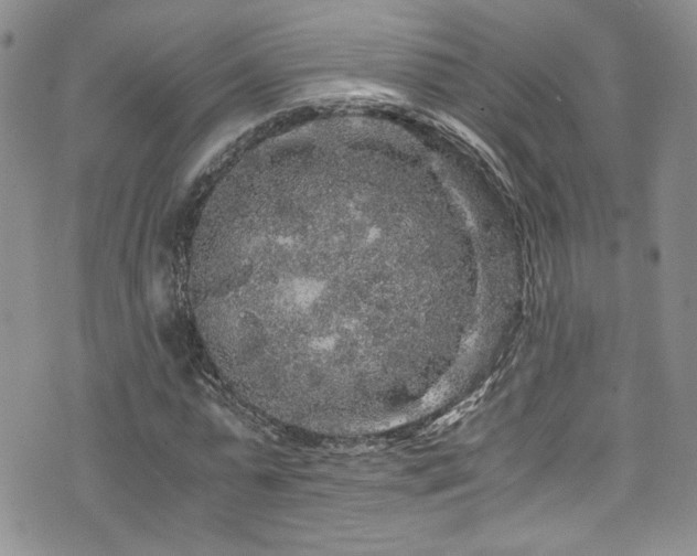 X0000076270775200609281204