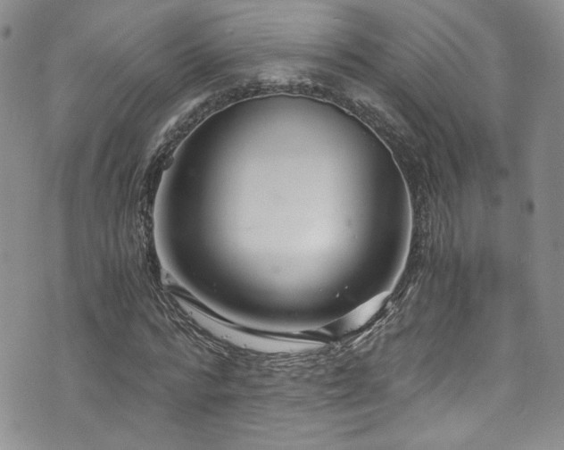 X0000076270776200609281204