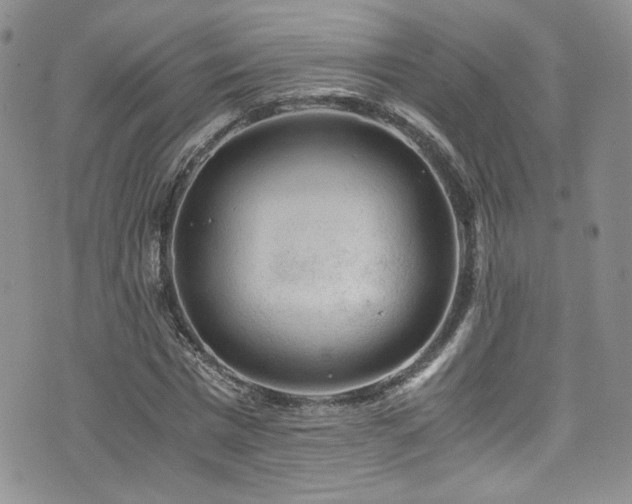 X0000076270777200609281204