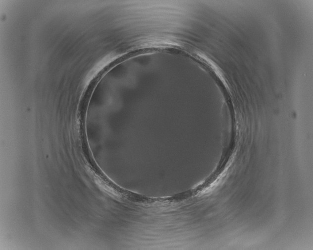 X0000076270779200609281204