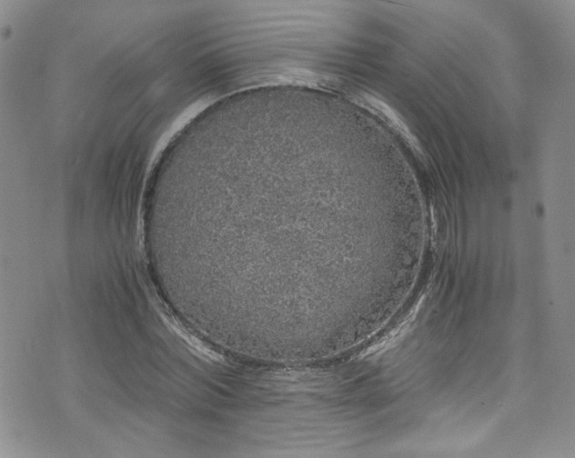 X0000076270780200609281204