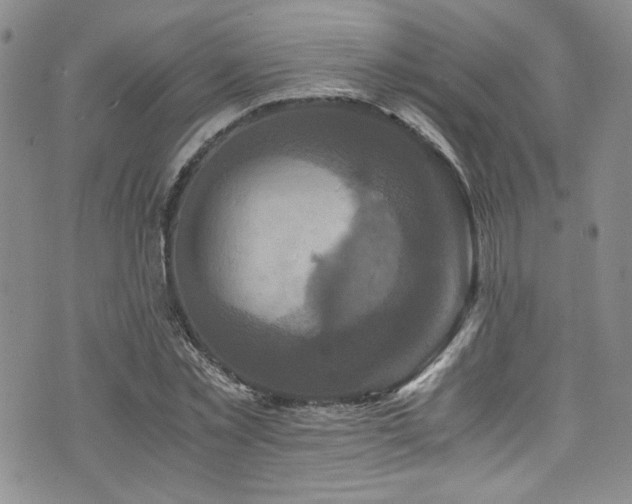 X0000076270781200609281204