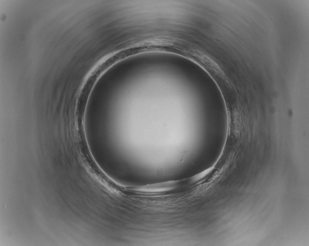 X0000076270784200609281204