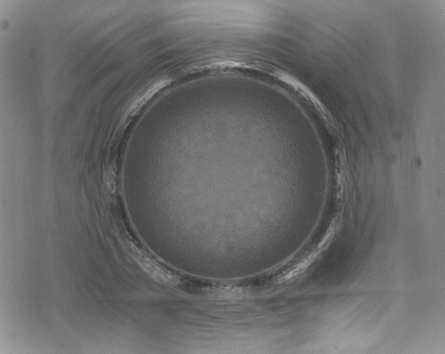 X0000076270785200609281204