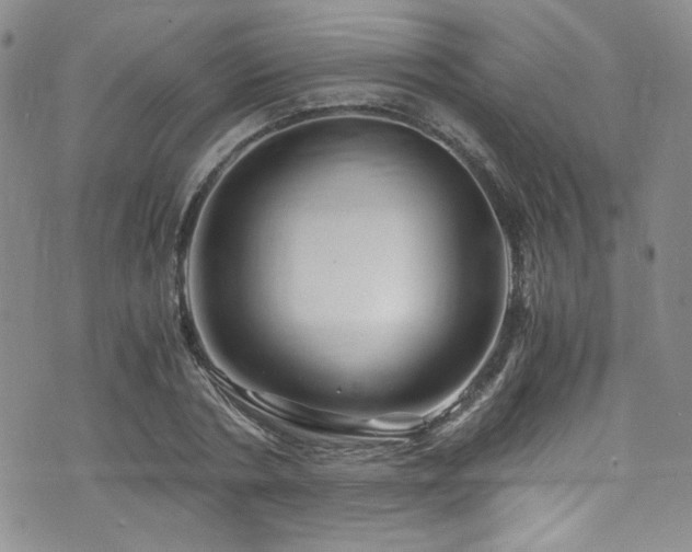 X0000076270786200609281204