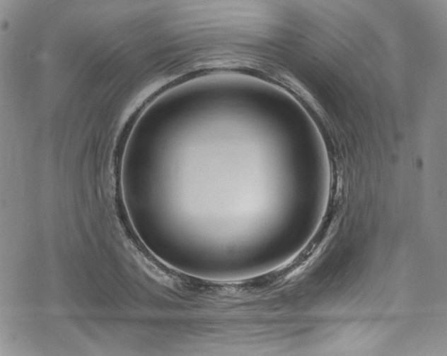 X0000076270787200609281204