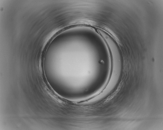 X0000076270788200609281204