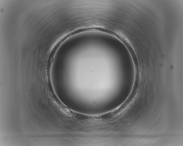 X0000076270789200609281204