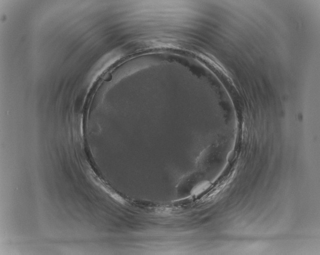 X0000076270790200609281204