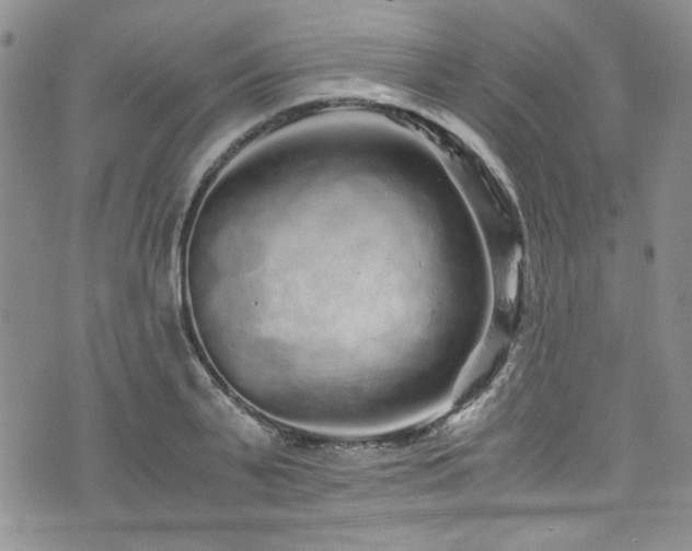 X0000076270791200609281204