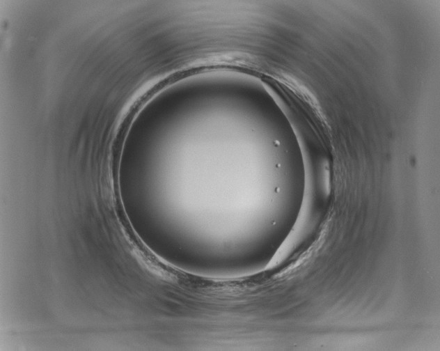 X0000076270792200609281204