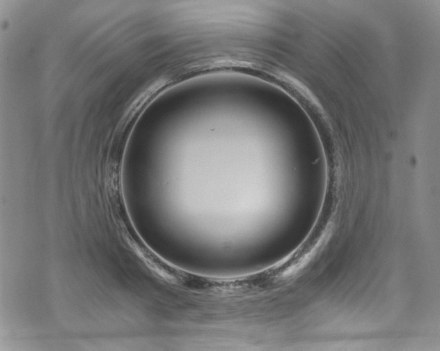 X0000076270793200609281204