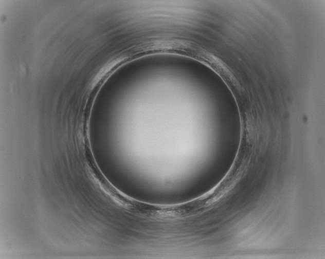 X0000076270794200609281204