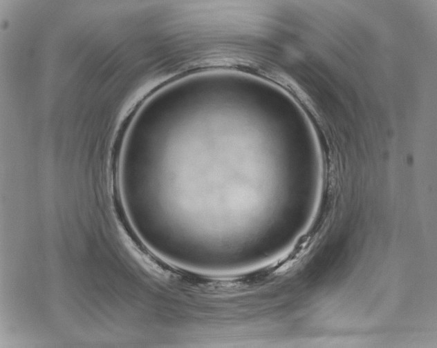 X0000076270795200609281204