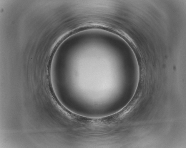 X0000076270799200609281204