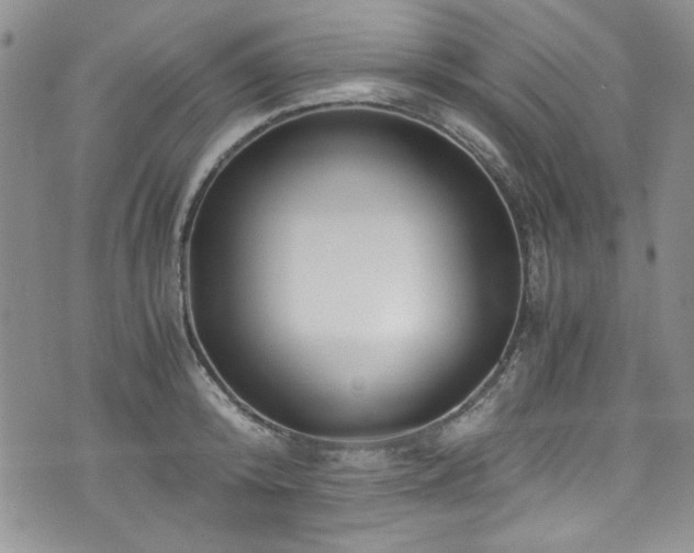 X0000076270800200609281204