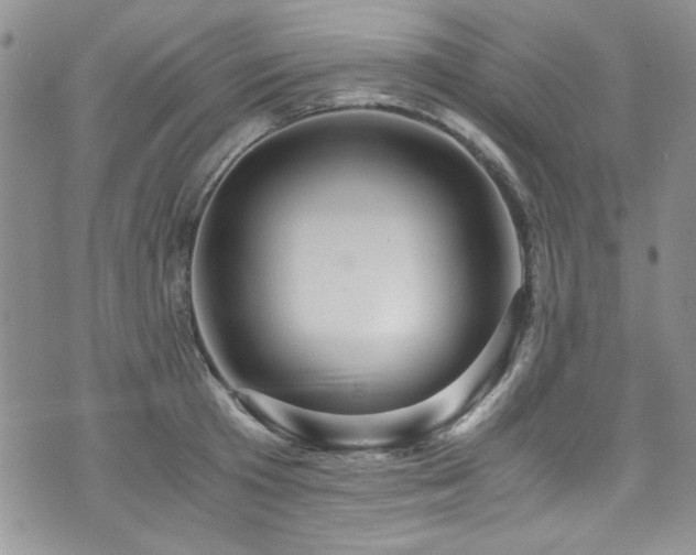 X0000076270801200609281204