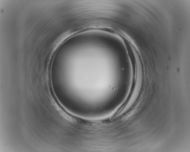 X0000076270803200609281204