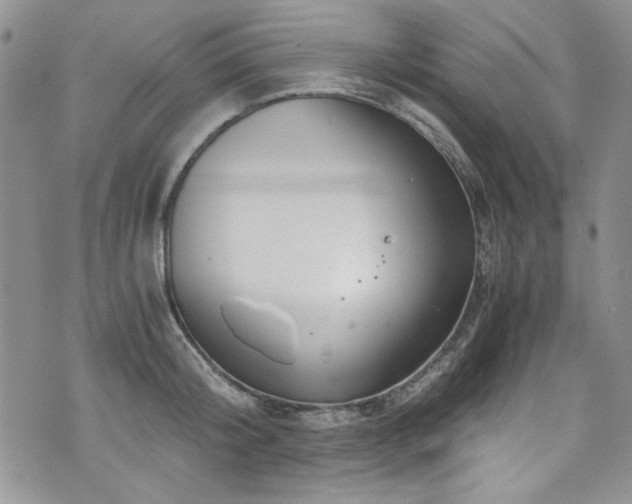 X0000076270804200609281204