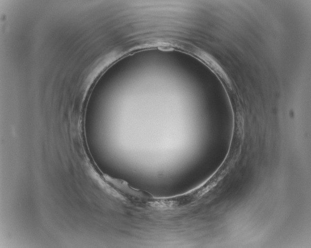 X0000076270805200609281204